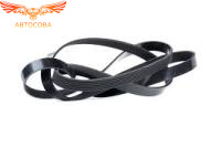 6PK 1305 / 1306 FOCUS II / C-Max 1.8 / 2.0 1.8 Duratec HE